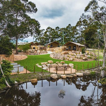 מלון סט הלנס Glamping 148 Tasmania מראה חיצוני תמונה