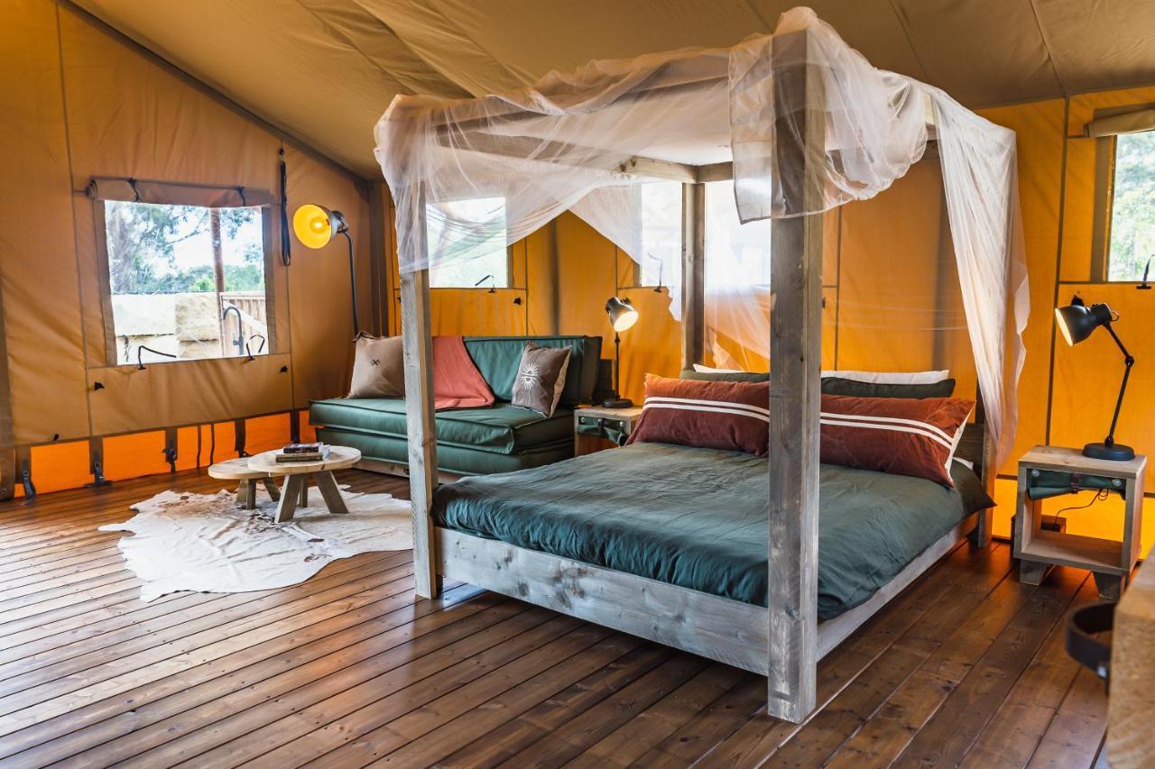 מלון סט הלנס Glamping 148 Tasmania מראה חיצוני תמונה