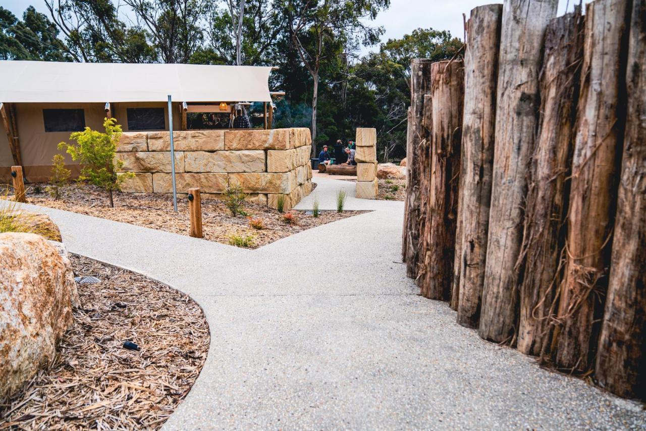 מלון סט הלנס Glamping 148 Tasmania מראה חיצוני תמונה