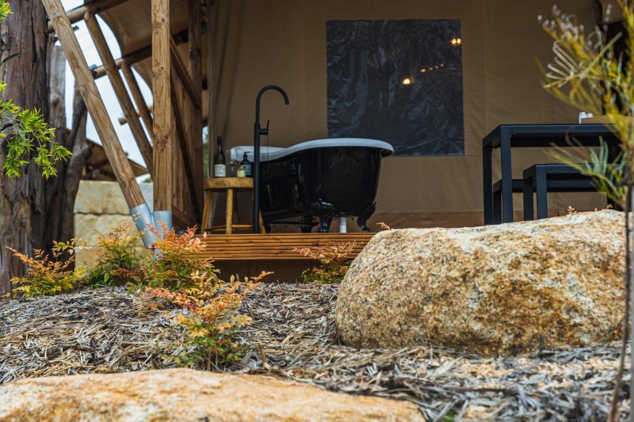 מלון סט הלנס Glamping 148 Tasmania מראה חיצוני תמונה